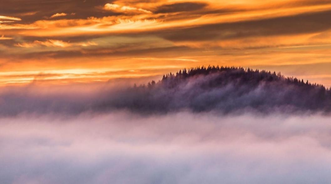 Ferienwohnung Rotbuche Tannenberg Exteriér fotografie