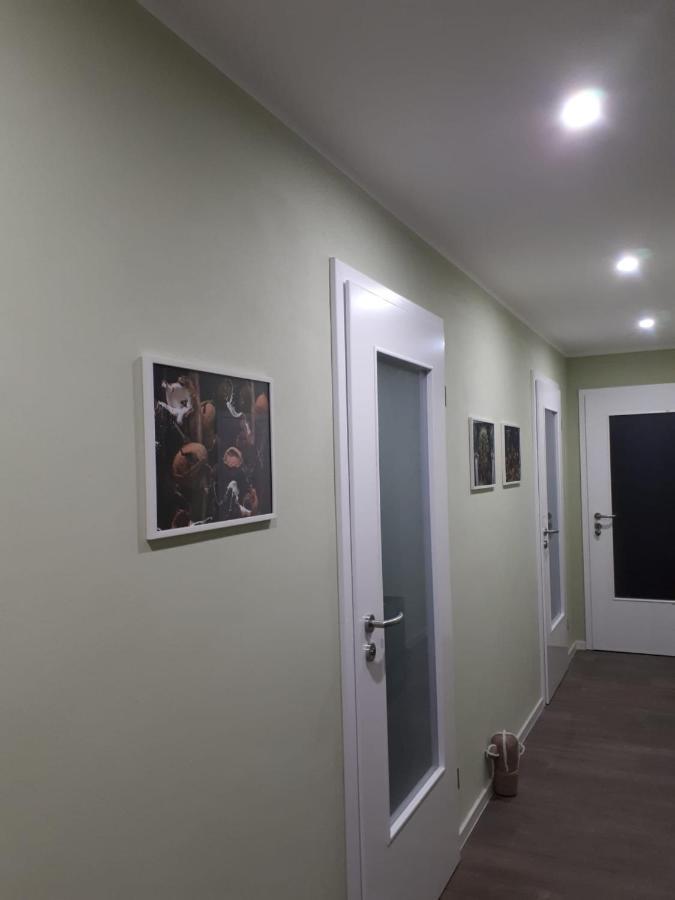 Ferienwohnung Rotbuche Tannenberg Exteriér fotografie